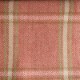 Fen Plaid tomato (F4636-04)