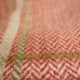 Fen Plaid tomato (F4636-04)