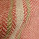 Fen Plaid tomato (F4636-04)