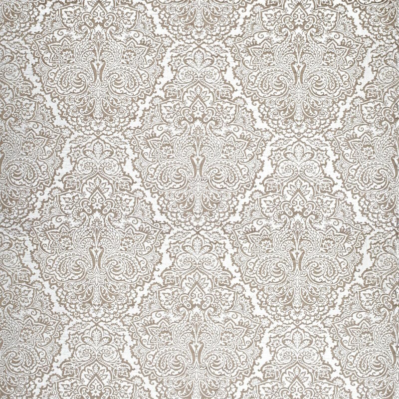 Aurelia (hblv130963)