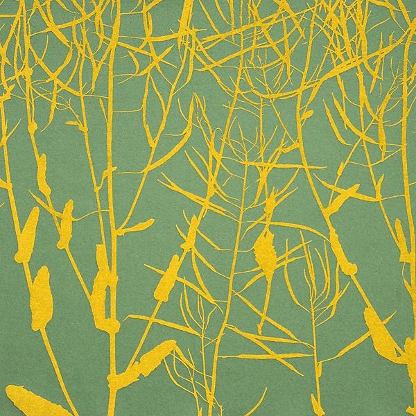 Traces of Yellow (6004-33)