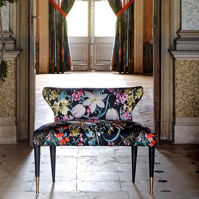 Josephine (FCL2498-01)