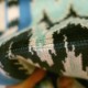 Everest ocean (629-02)