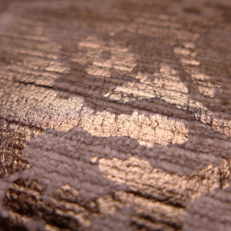 Aurelia (hblv130964)