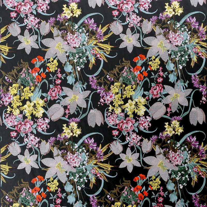 Josephine (FCL2498-01)