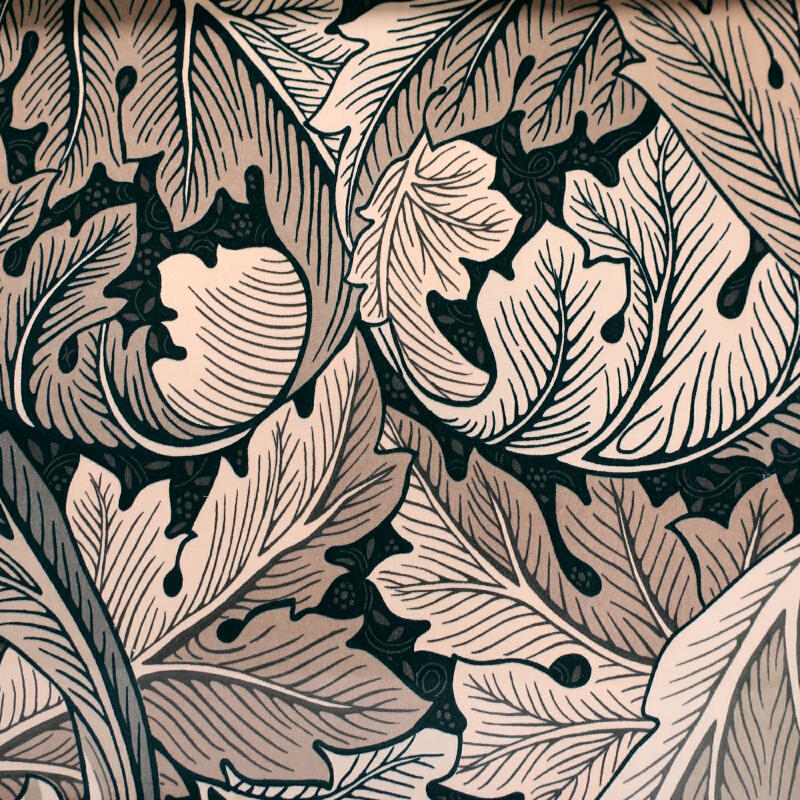 Acanthus  Charcoal/Grey (226399)