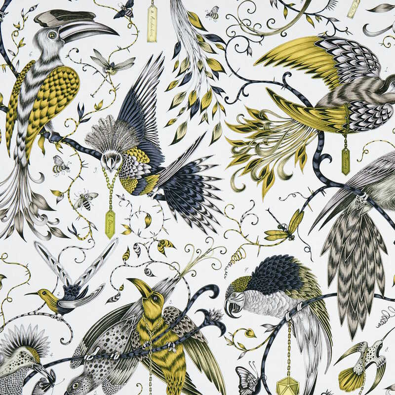 Audubon Gold (F1108-02)