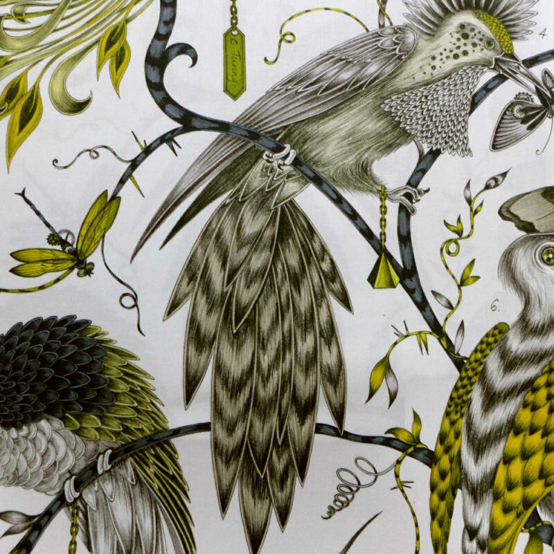 Audubon Gold (F1108-02)