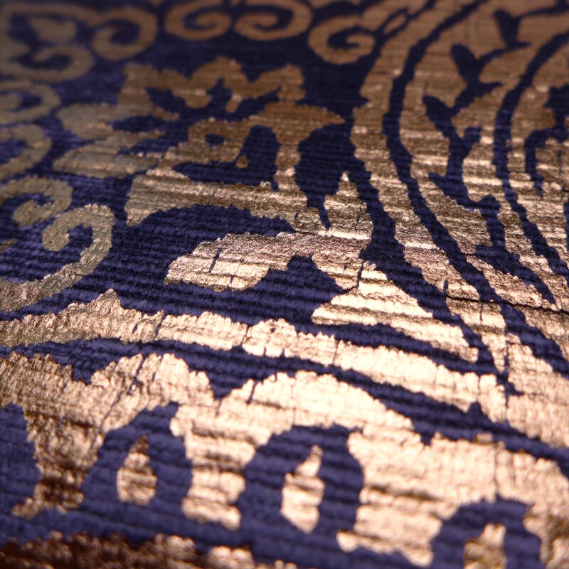 Aurelia (hblv130965)