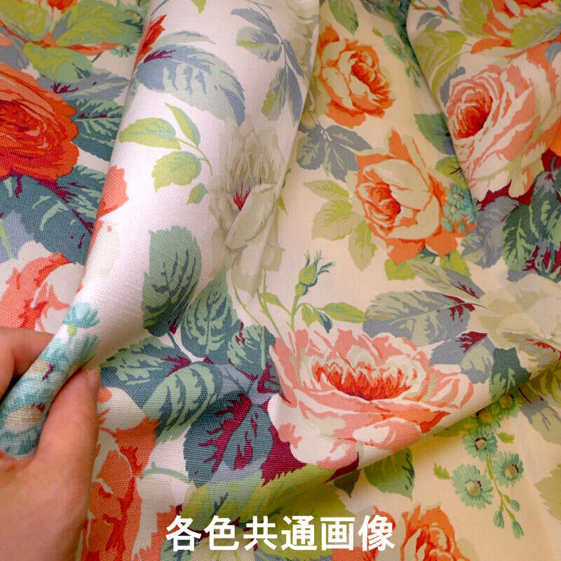 Chelsea (dvin224321)