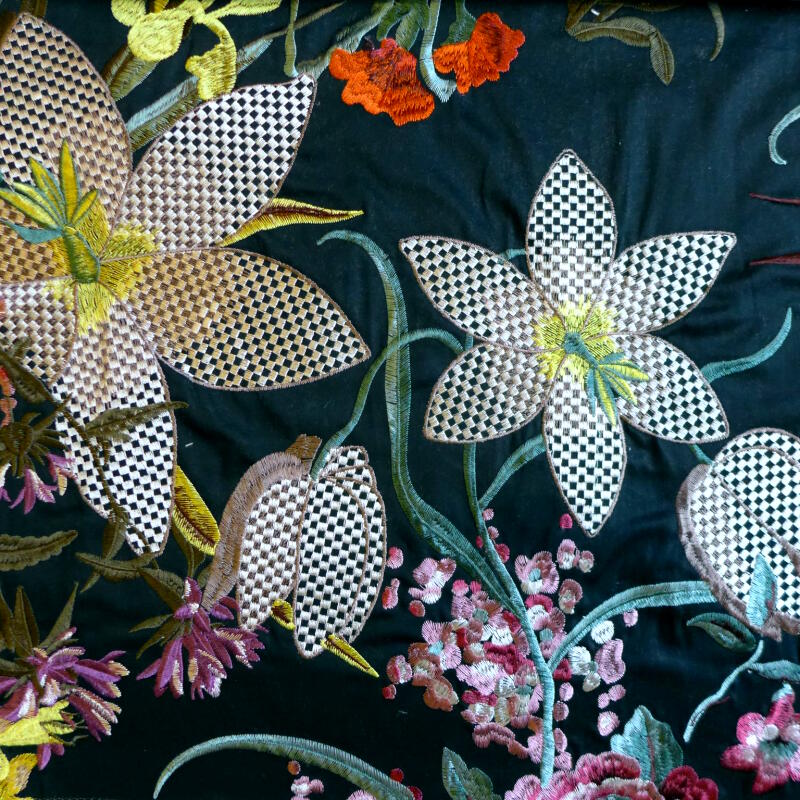 Josephine (FCL2498-01)