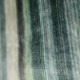 Tomoko Velvet (9068-03) malachite