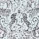 Kruger Eggshell (F1111-01)