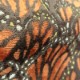 Monarch (21284-385)