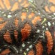 Monarch (21284-385)