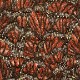 Monarch (21284-385)
