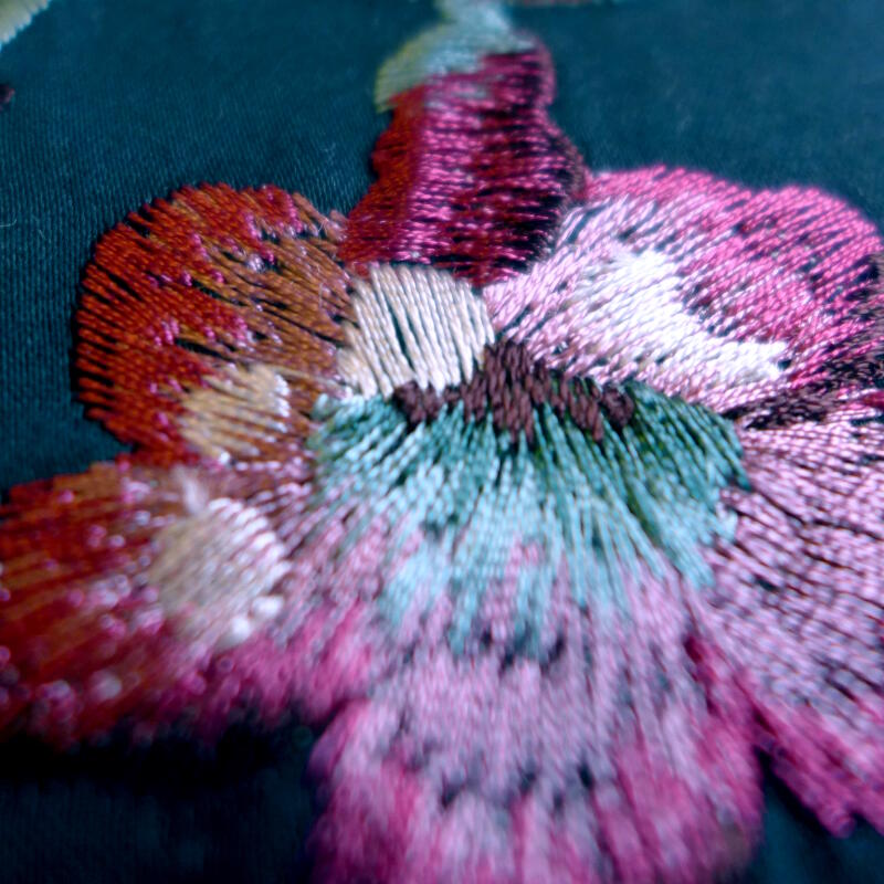 Josephine (FCL2498-01)