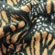 Monarch (21284-888)