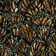 Monarch (21284-888)