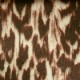 Hawk (21288-386)