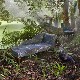 Lemur Jungle (F1112-01)