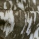 Hawk (21288-892)