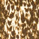 Hawk (21288-894)