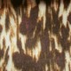 Hawk (21288-894)
