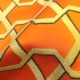 Ribon Kumquat (0557-06)