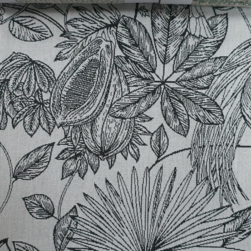 GalapagosBlack & White (44830119)