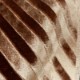 Meurice Cognac (Z589/09)