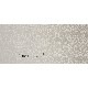 Waldorf F1075-01 (champagne)