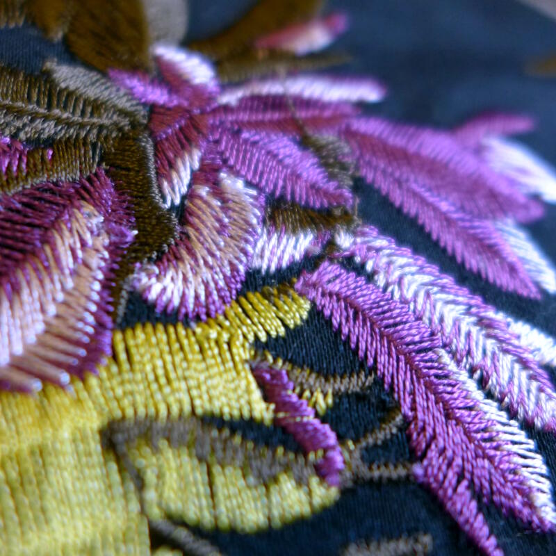 Josephine (FCL2498-01)