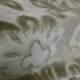 Vivaldi Sand