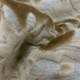 Vivaldi Tahini
