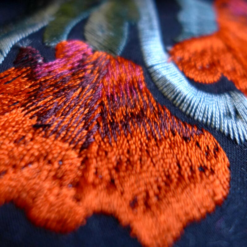 Josephine (FCL2498-01)