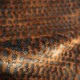 ANACONDA Cuivre (M182 601)