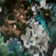 Flowerbomb Frost