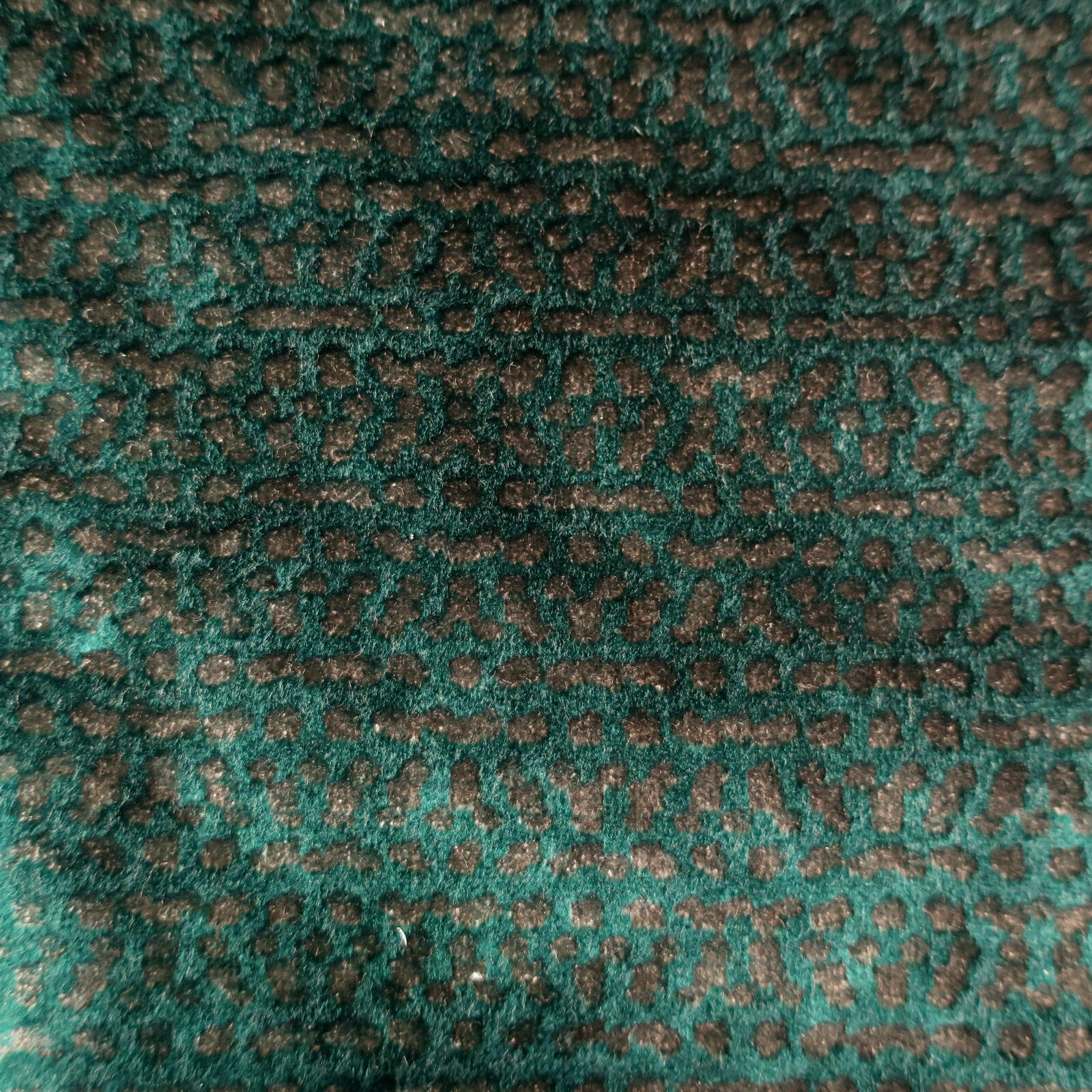 ANACONDA Blue Paon (M182 803)