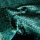 ANACONDA Blue Paon (M182 803)