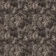 Borchelli Pyrite