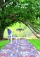 Azulejos (3463-03) Laque