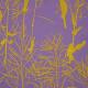 Traces of Yellow (6004-32)