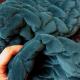Velours Tresse (17229-03)