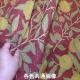 Fruit (230287)