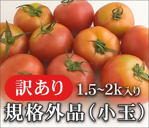 ［訳あり］喜界島トマト＜規格外品(小玉)＞【送料無料】<１．５～２ｋｇ>