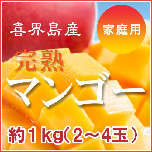 喜界島産完熟マンゴー[家庭用]1K （２～4玉入り)