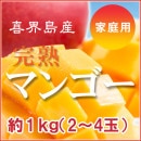 喜界島産完熟マンゴー[家庭用]1K （２～4玉入り)