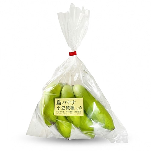 島バナナ（小笠原種）ボードン袋入り   450g～600g（小分け）