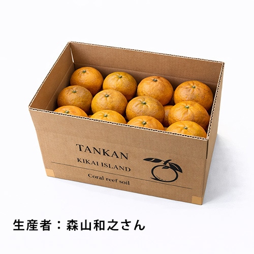 済州島の究極のシワとり　限定残り3箱 済州島】珍しい✨済州名物緑茶の参鶏湯✨ | Trip.com 済州島